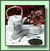 Shincha 2006